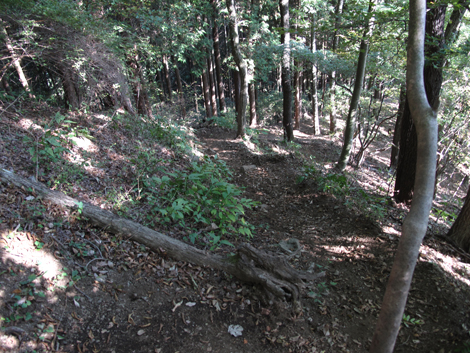 20151014hike (248)